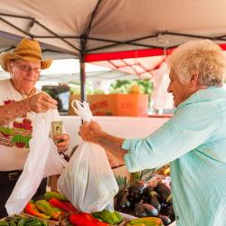 Farmer's market